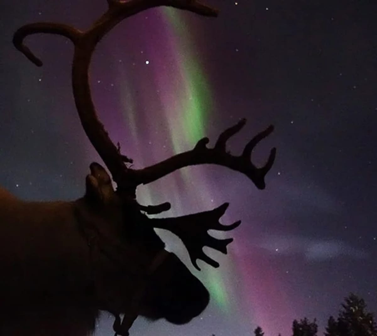 Kiruna — aurora viewing